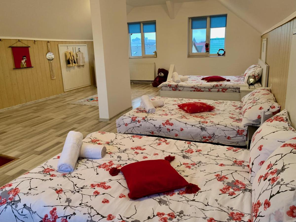 Casa Costache Βίλα Μπρασόβ Εξωτερικό φωτογραφία
